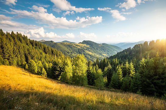 shutterstock_2499073105.jpg