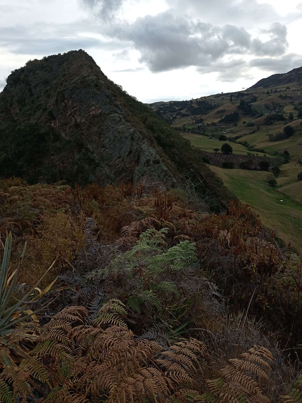 Miniatura: Senderismo con parámeros 