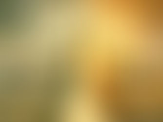 5. Was ist der Körper?