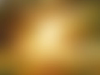 Lektion 329: Was du willst, habe ich bereits gewählt