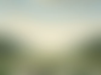 Lektion 2: Ich habe allem, was ich in diesem Raum sehe [auf dieser Strasse, von diesem Fenster aus, an diesem Ort], die gesamte Bedeutung gegeben, die es für mich hat.