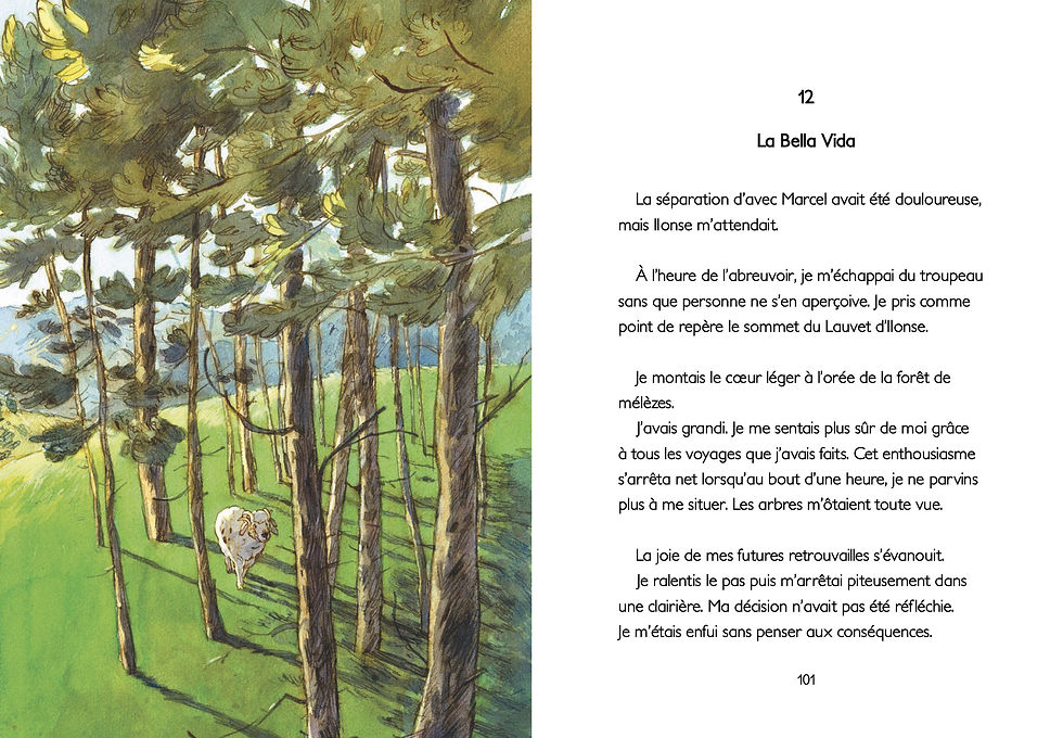 Miniature : Tiburce, journal d'un mouton