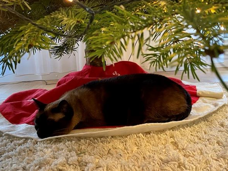 01. Dezember - Der Decura Adventskalender