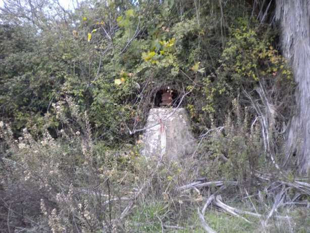 895702361_9_644x461_quinta-em-faro-