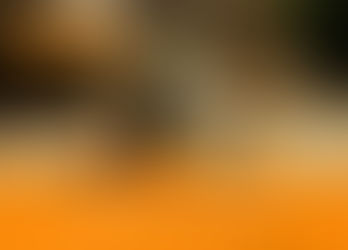 Voorbereidingen op Maha Shivratri