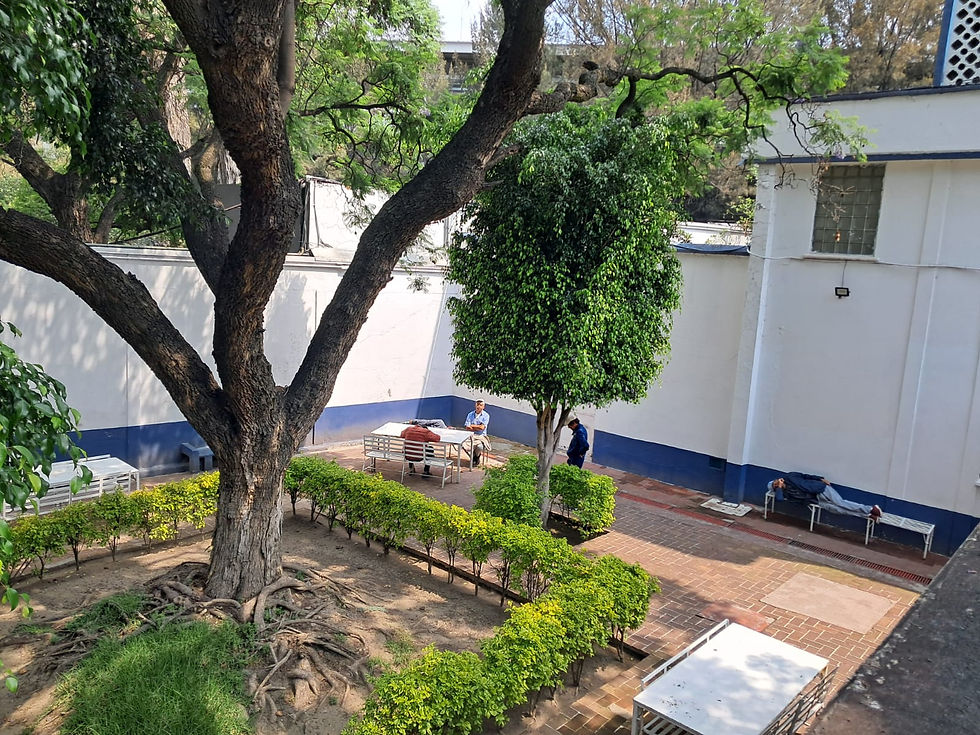 Patio estrella 2