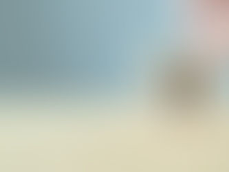 The Importance of Ethics in College Admissions