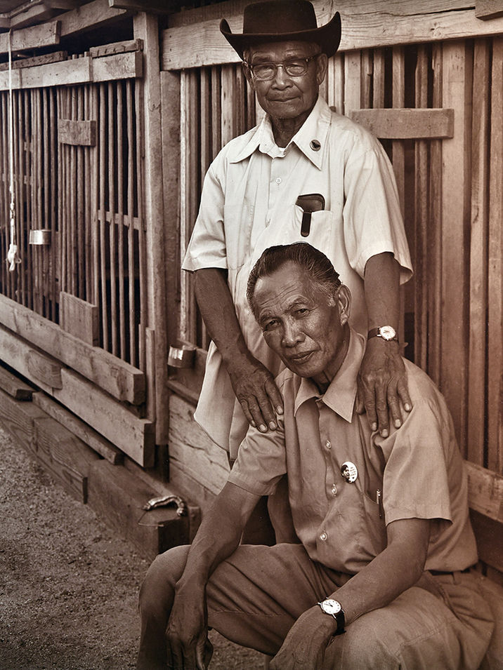 Two older filipino farm workers in front of fighting Rooster cages, with Cesar Chavas and UFW pins.