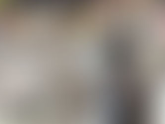 Radicalismo en medios: un análisis del discurso político de Phillip Butters a partir de momentos claves de la política peruana