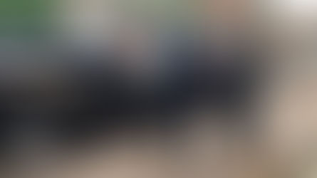 Operação da Polícia Federal contra tráfico internacional de drogas e cumpre mandados de prisão.