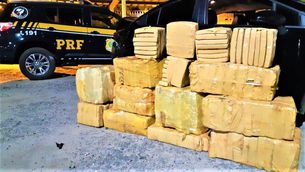 PRF apreende quase 300 Kg de maconha