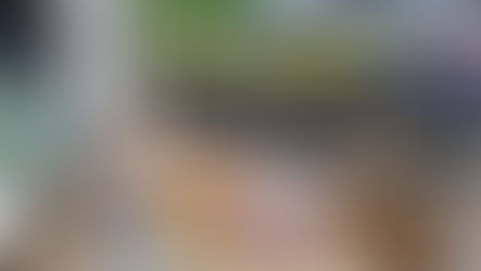 PRF apreende drogas em ônibus que seguia para Irecê.