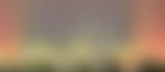 🥁🌿亀田フェスティバル出演!