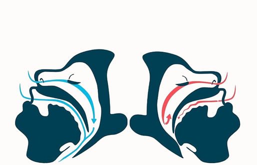 Patient consultant un rythmologue pour apnée du sommeil à Paris