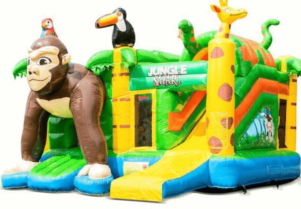 Miniature : Safari singe journée 