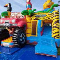 Miniature : Safari 4/4 a vendre 