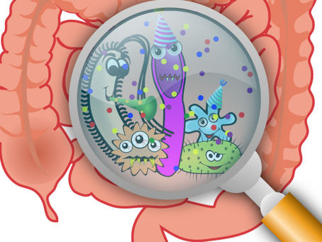 Le Microbiote : ACTE 2 : la naissance de notre flore bactérienne... 