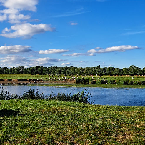 port meadow
