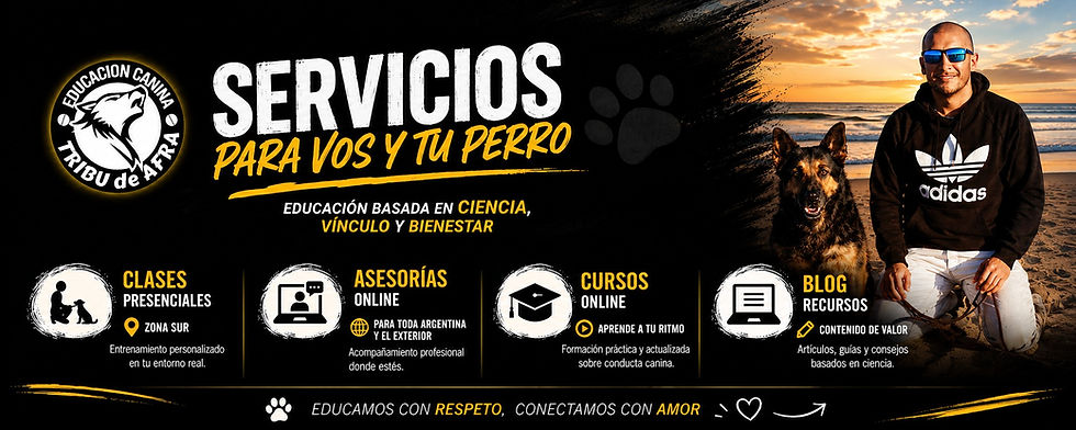 header servicios.jpeg