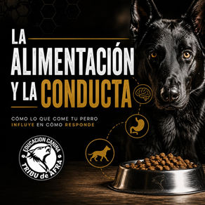 Alimentacion y Conducta