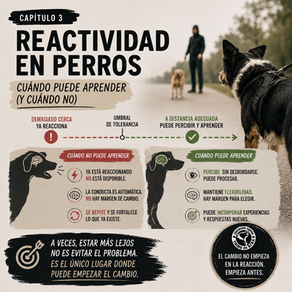 Reactividad capitulo 3