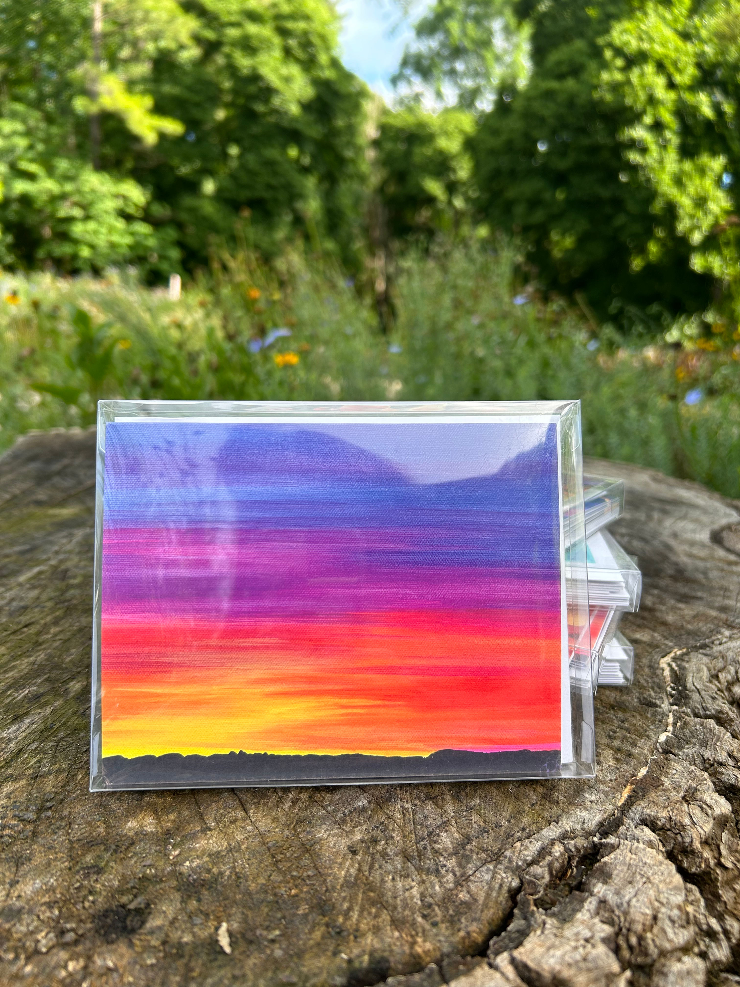 I Love Color Greeting Card Set