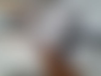 Our best Advertisement, as a Cleaning Service...are Results