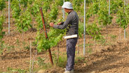 How long is seasonal work? A seasonal worker completing a job.