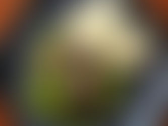 Food from The Local on Morford, one of the best places to eat in McMinnville Tennessee.