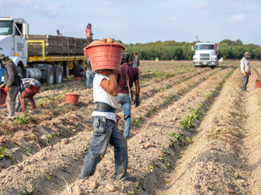 Workers who know the difference between a green card and visa.