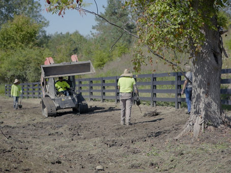 Individuals after following PERM immigration rules
