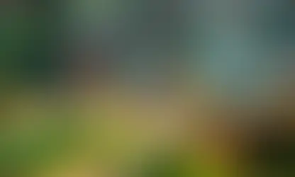 PRINCIPAIS LANÇAMENTOS DA SEMANA 11/03 A 15/03 DE 2024