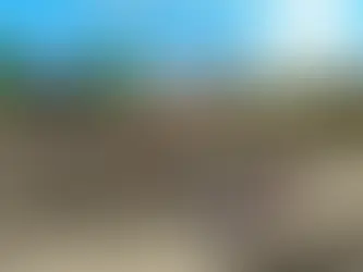 NOVAS VARIAÇÕES DE LOBOS NO MINECRAFT