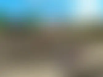 NOVAS VARIAÇÕES DE LOBOS NO MINECRAFT