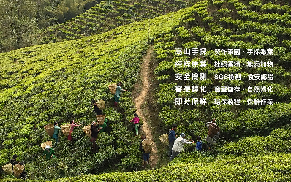 Tea Garden 01-mobile.jpg