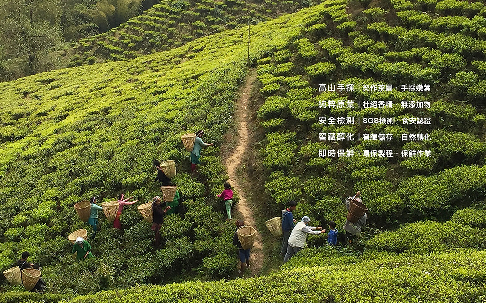 Tea Garden 01-computer.jpg