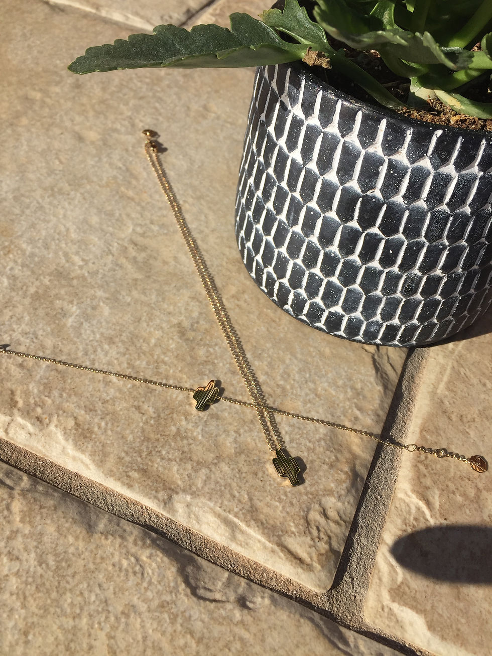 Miniature : Bracelet et collier cactus acier inoxydable 7bis doré kaktus