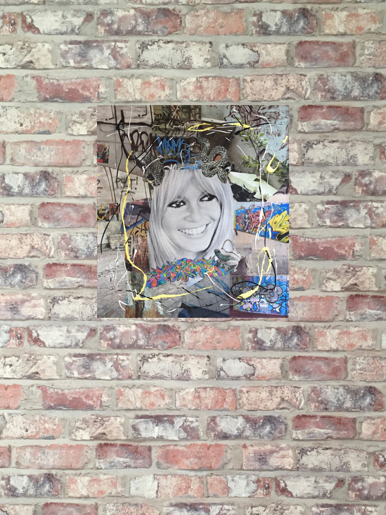Tableau collages et peinture brigitte bardot