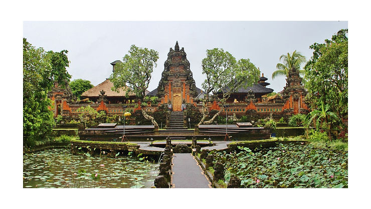Indonesia el rey del coco
