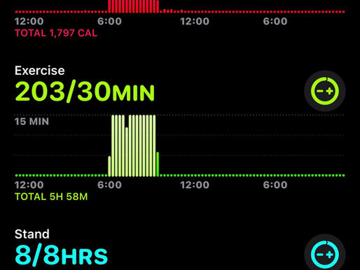 My Non-Negotiables as Your Coach…