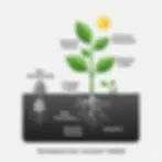 The Data Substrate Matters to building AI capabilities