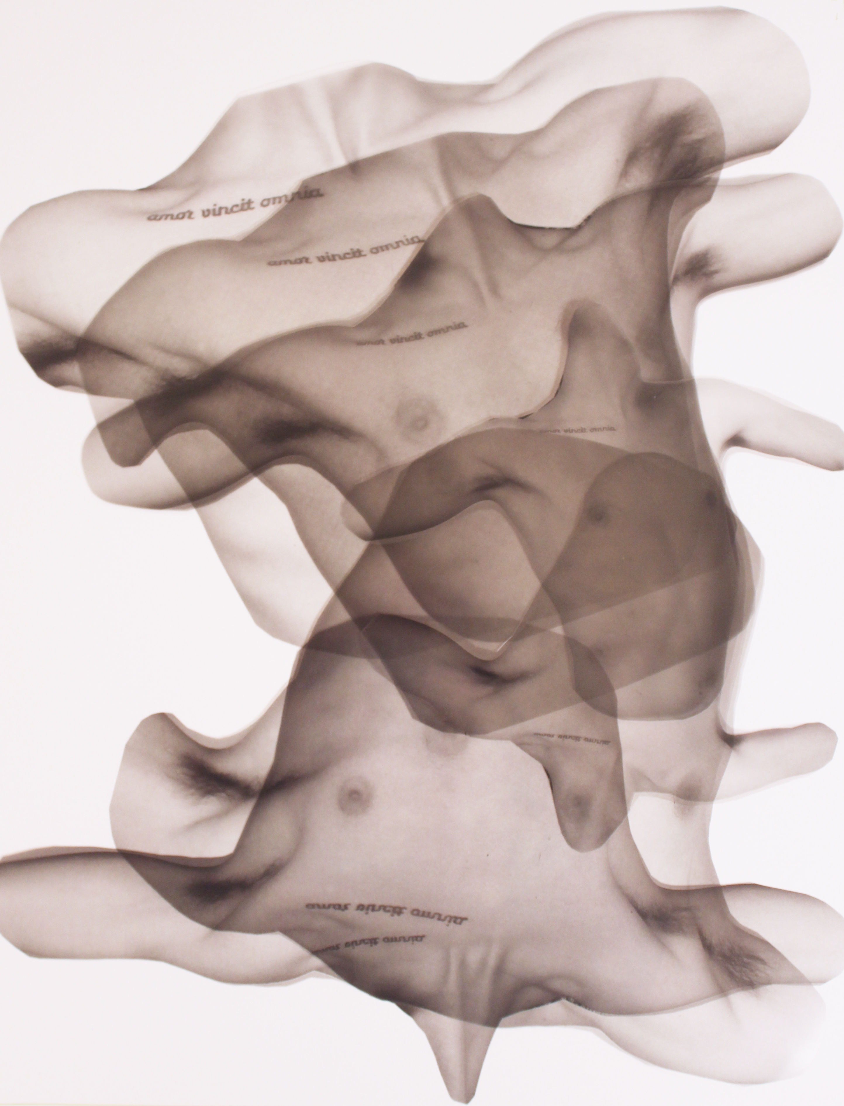 “Sin Yous” October 2018, 12” x 15”. Framed Photo Collage