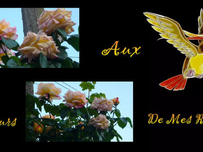 Créations D'Images ET Photos.