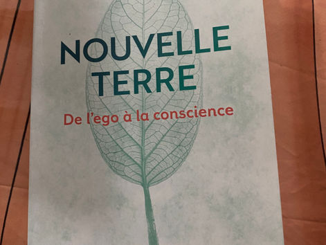 Ma Lecture Du Moment