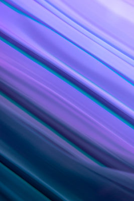 20190312_0045©MikeDunn.jpg