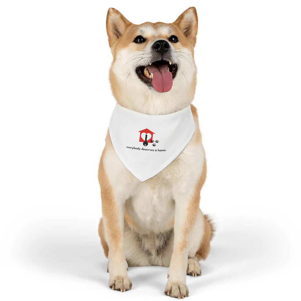 Thumbnail: Everybody Deserves a Home Pet Bandana for Collar