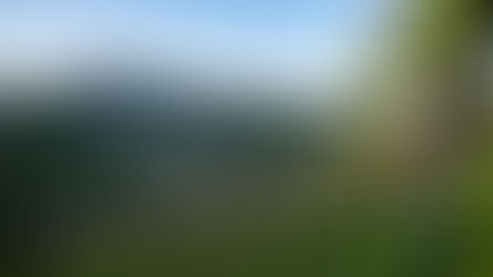 L'Asolo Prosecco omaggia il genio di Antonio Canova