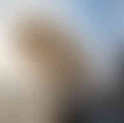 Prow of Boat with Crane