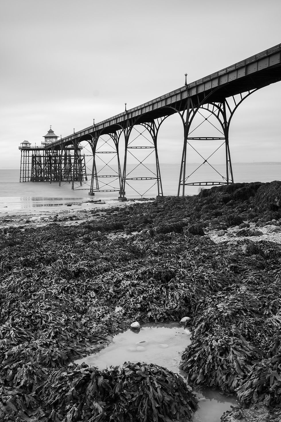 Vertical composition of Clevedon Pier