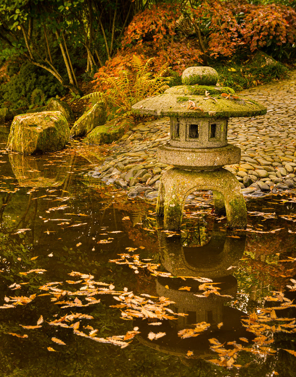 Pond with floating leaves and a stone Lantern in the water with a cobbled road beyond